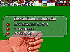 Allan Border Cricket Screenshot