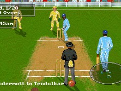 Allan Border Cricket Screenshot