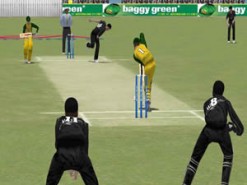 Cricket 2004 Screenshot