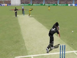 Cricket 2004 Screenshot