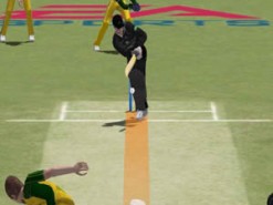 Cricket 2004 Screenshot