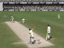 Cricket 2007 Screenshot