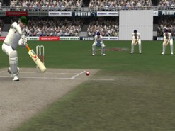 Cricket 2007 Screenshot