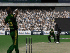 Cricket 2007 Screenshot