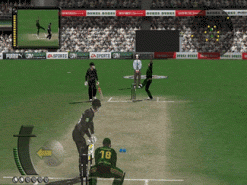 Cricket 2007 Screenshot