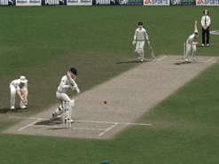 Cricket 2007 Screenshot