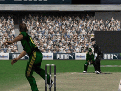 Cricket 2007 Screenshot