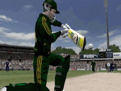 Cricket 2007 Screenshot