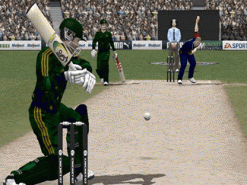 Cricket 2007 Screenshot