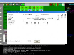 International Test Cricket